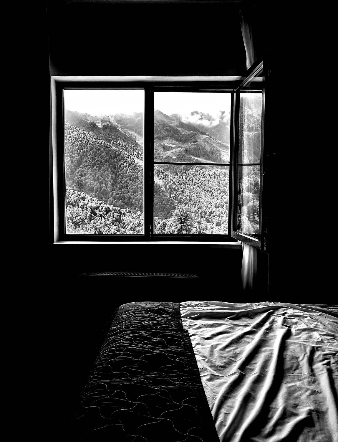 Photo #9664816