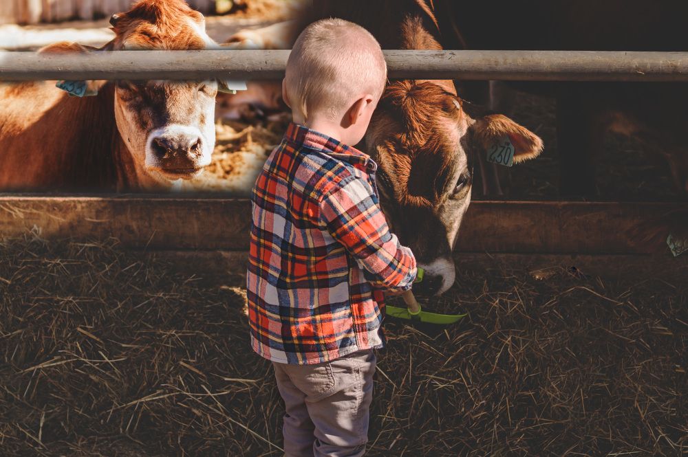 Photograph by Марина Максимюк