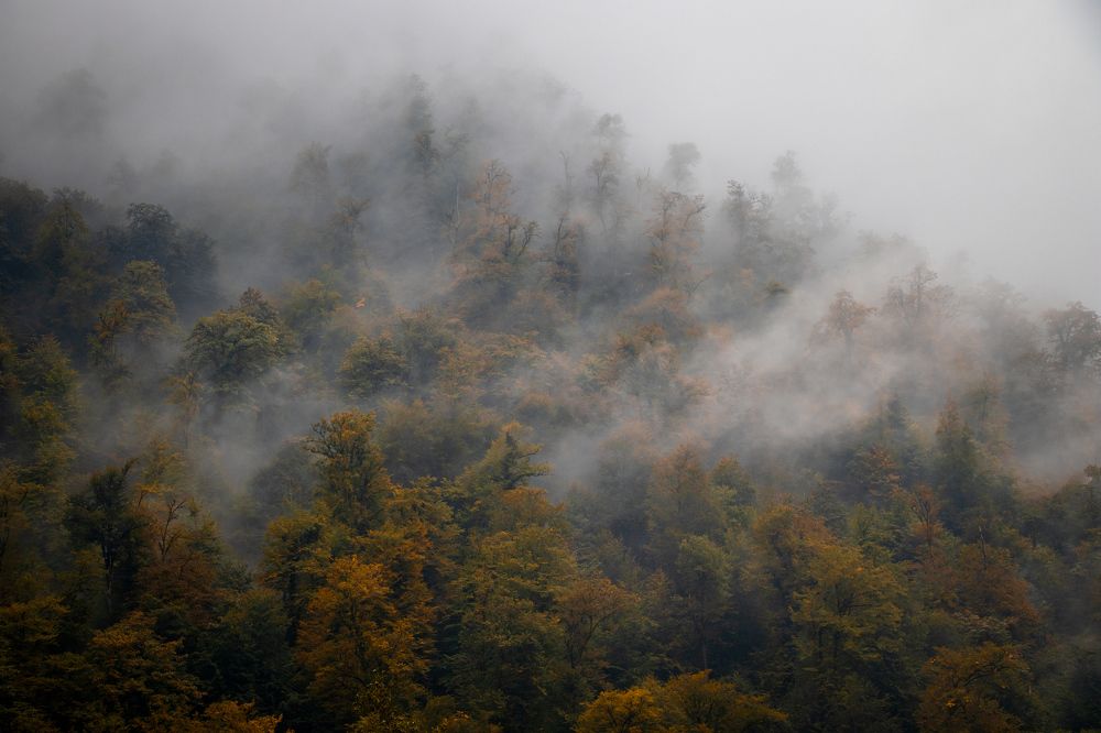 Photograph by Iman Hafez khan