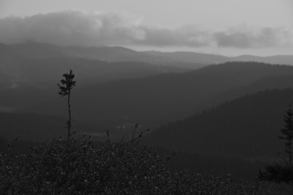 Photograph by Светлана Андреева