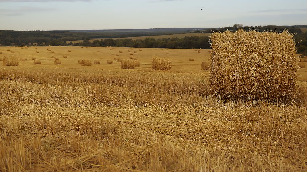 Photograph by Алексей Парамонов
