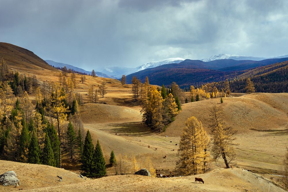 Photograph by Вадим Качанов