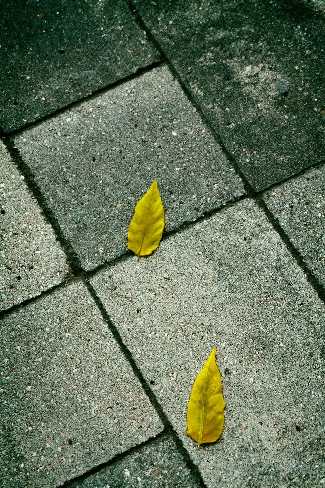 Photograph by Виталий Павлов