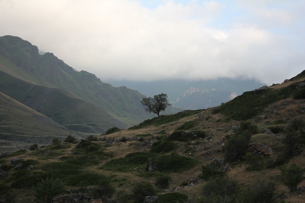 Фотография автора Таня Долгушева