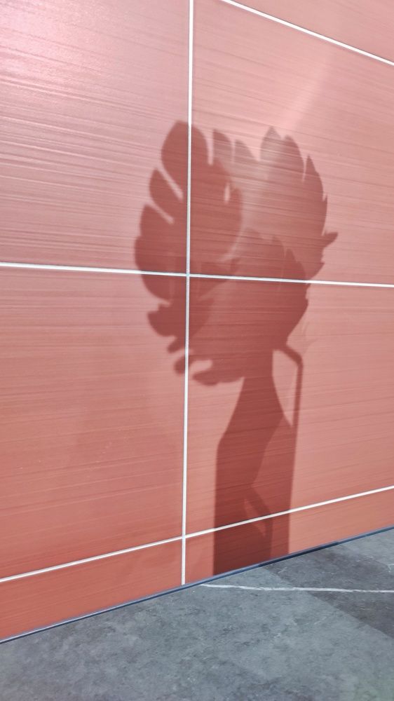 Тень на стене