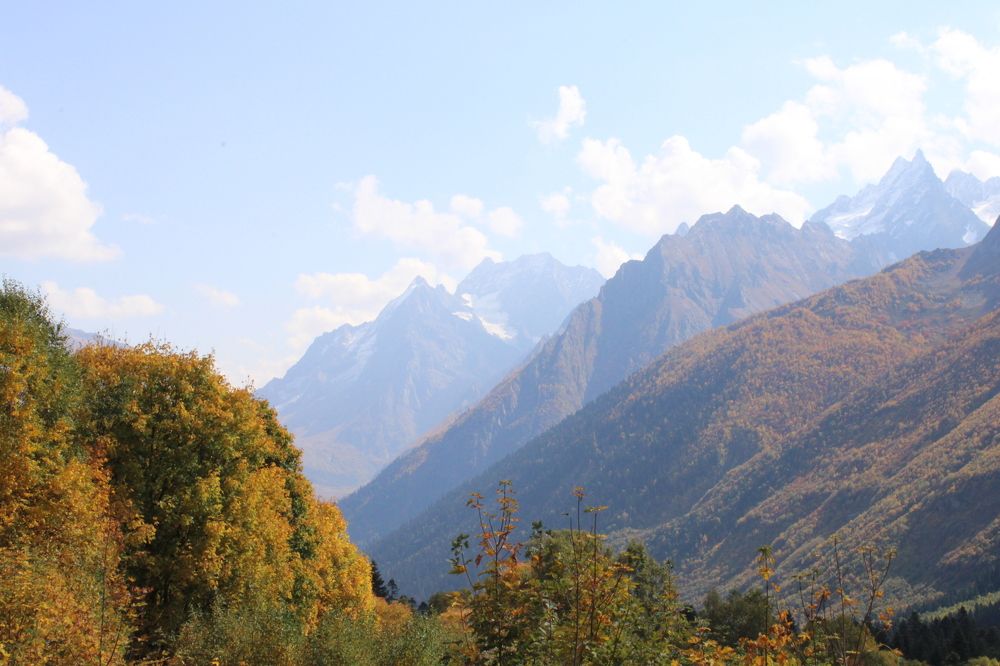 Photograph by Елизавета Огурцова