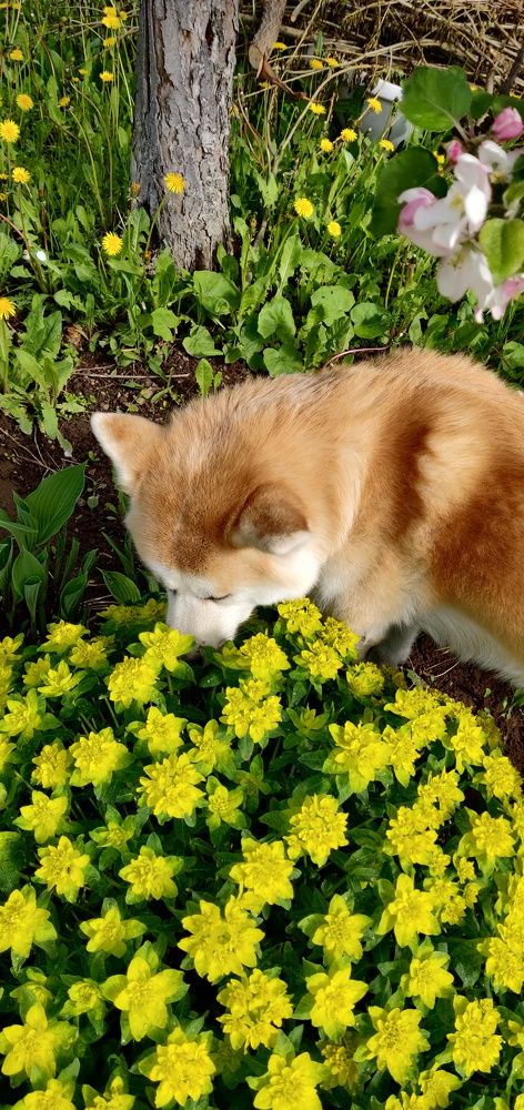 Photograph by Наталья Корнеева