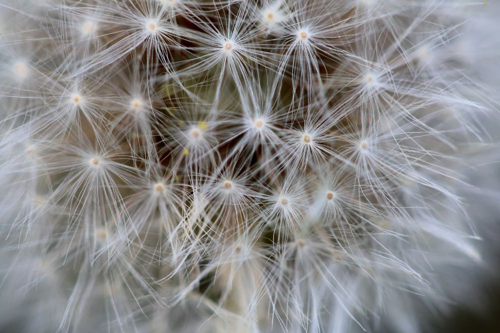 Photograph by Юрий Варюхин