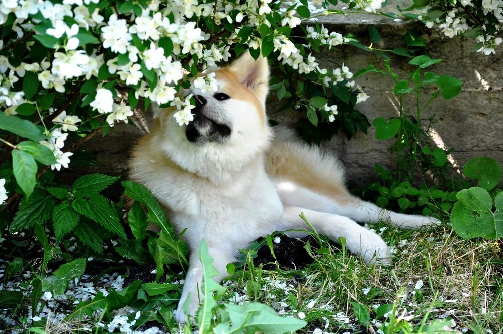 Photograph by Наталья Корнеева