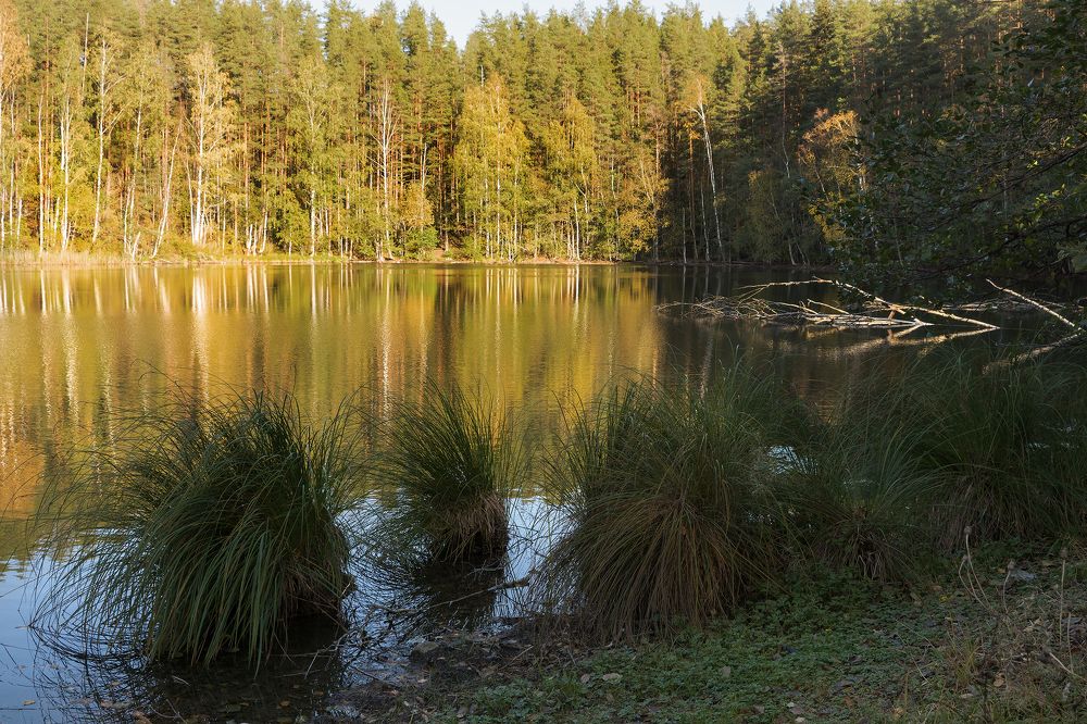 Photograph by Светлана Давыдова