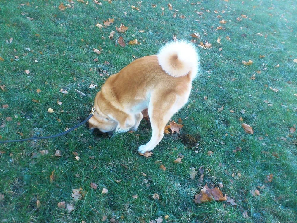 Photograph by Наталья Корнеева