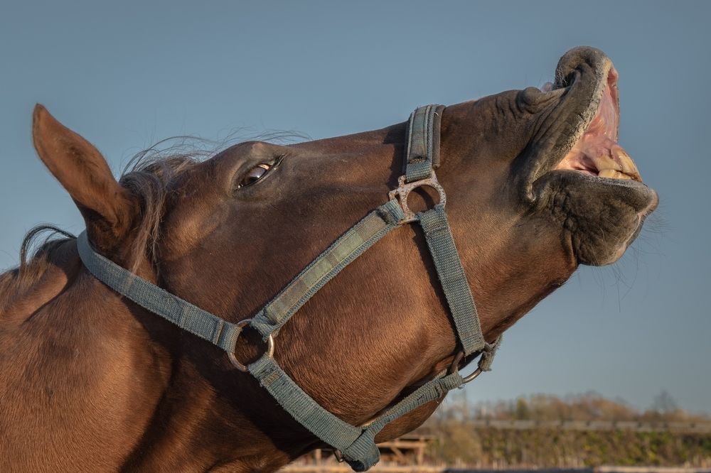 Photograph by Виктор Рыков