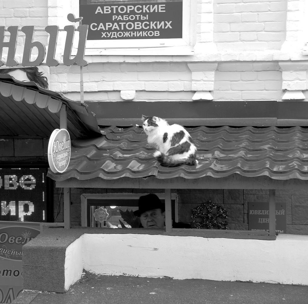 Photograph by Юрий Варюхин