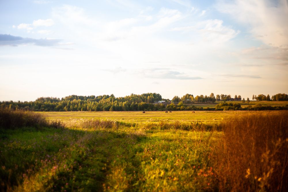 Photograph by Светлана Мишенёва