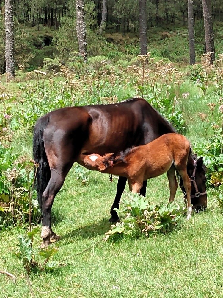 Photograph by José Luis Mendoza Machado