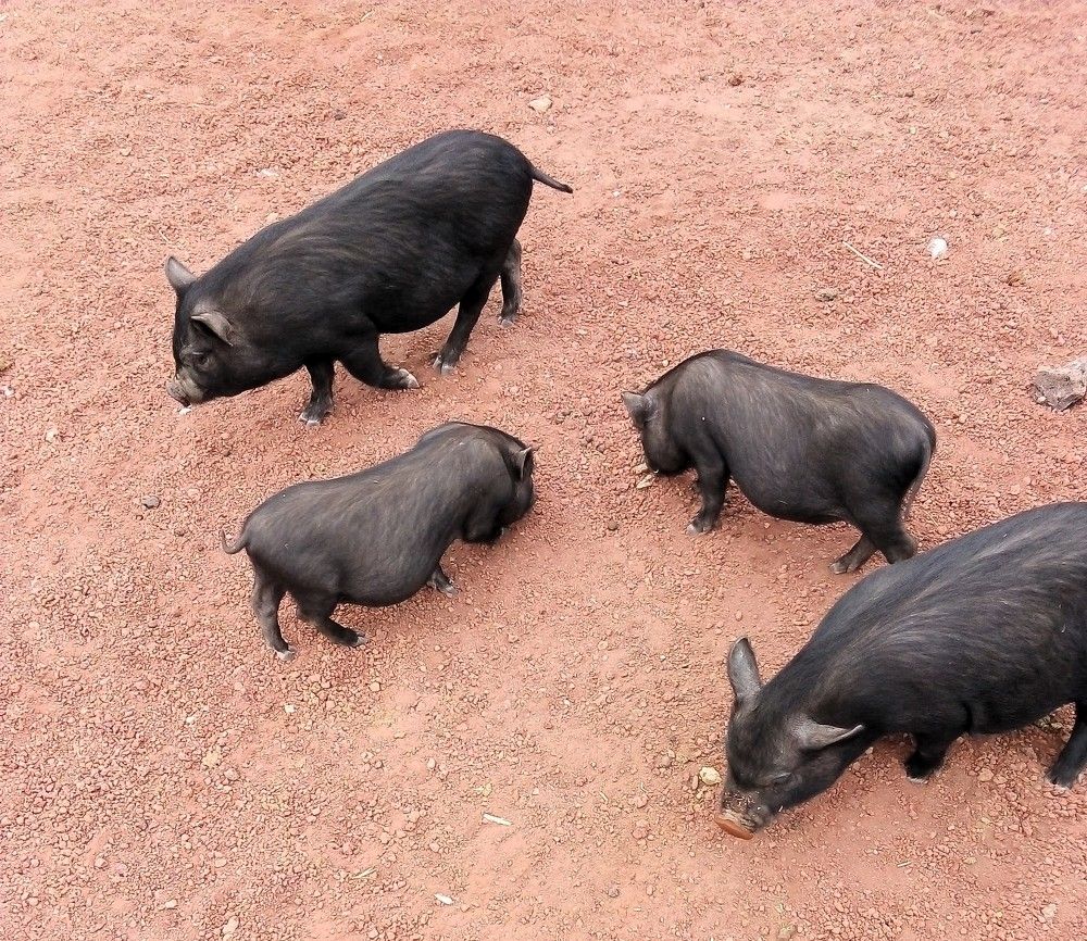 Photograph by José Luis Mendoza Machado