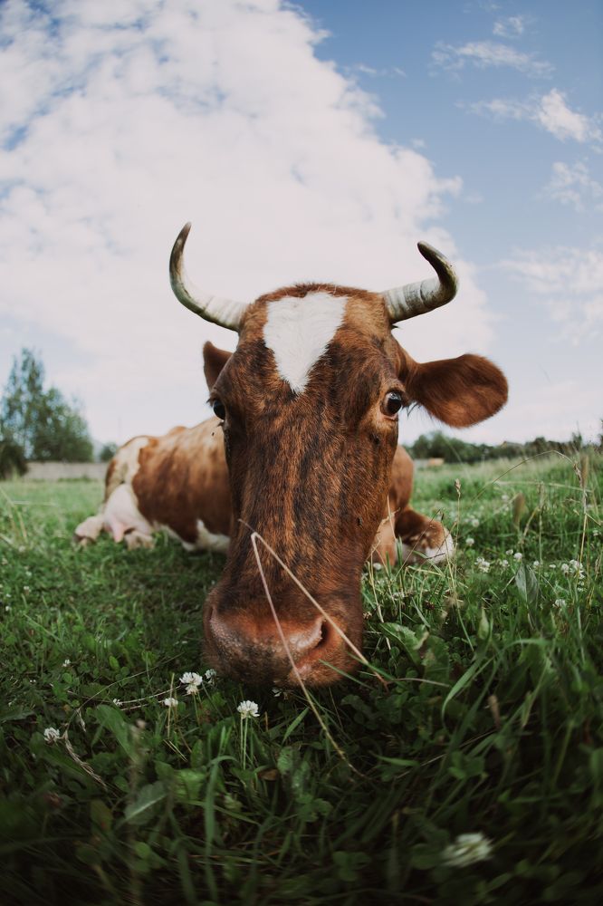 Photograph by Данис Вафин