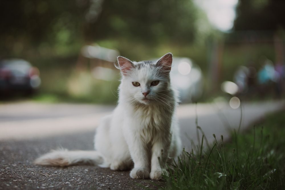 Photograph by Данис Вафин