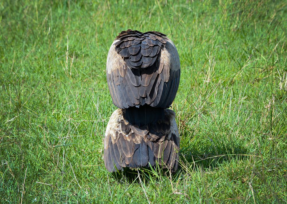 Photograph by Inna Ivanova