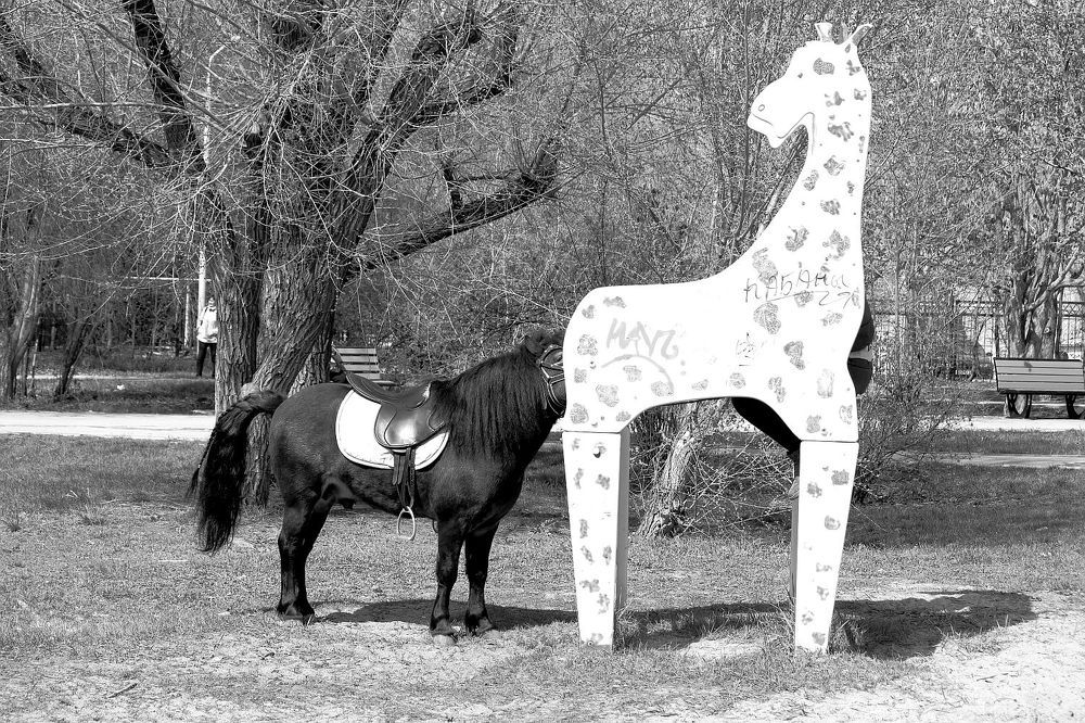 Photograph by Юрий Варюхин