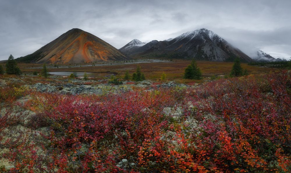 Фотография автора Шишкин Дмитрий