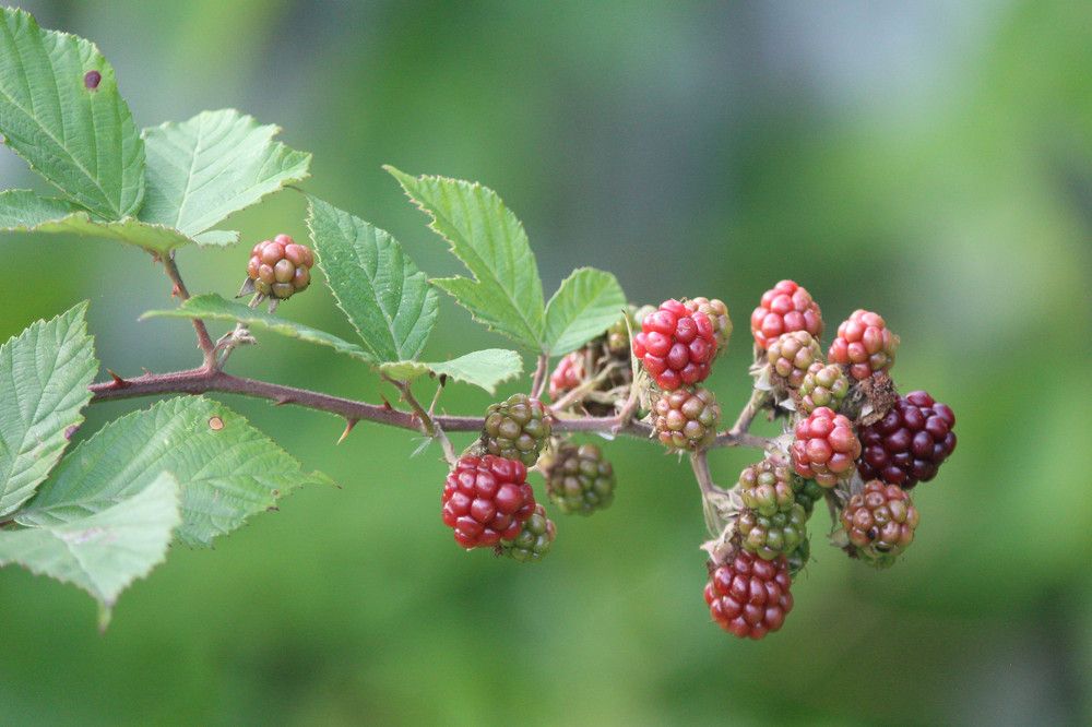 Photograph by Наталья Резванова