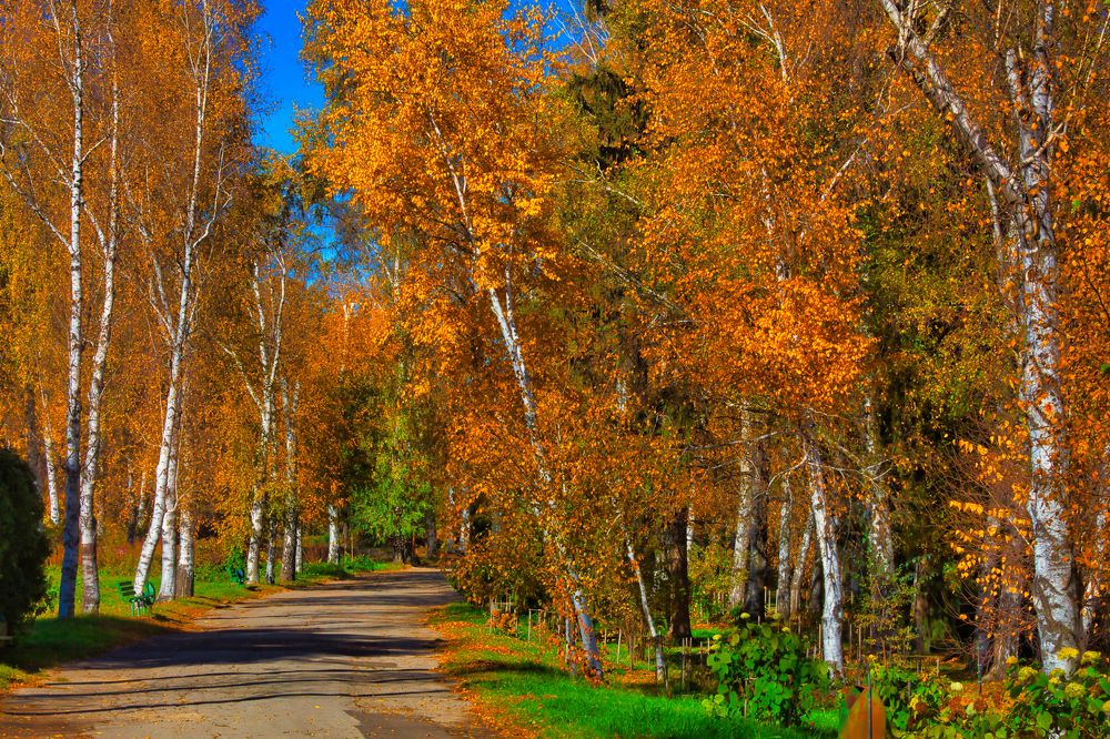 Photograph by Valentin Kayudin