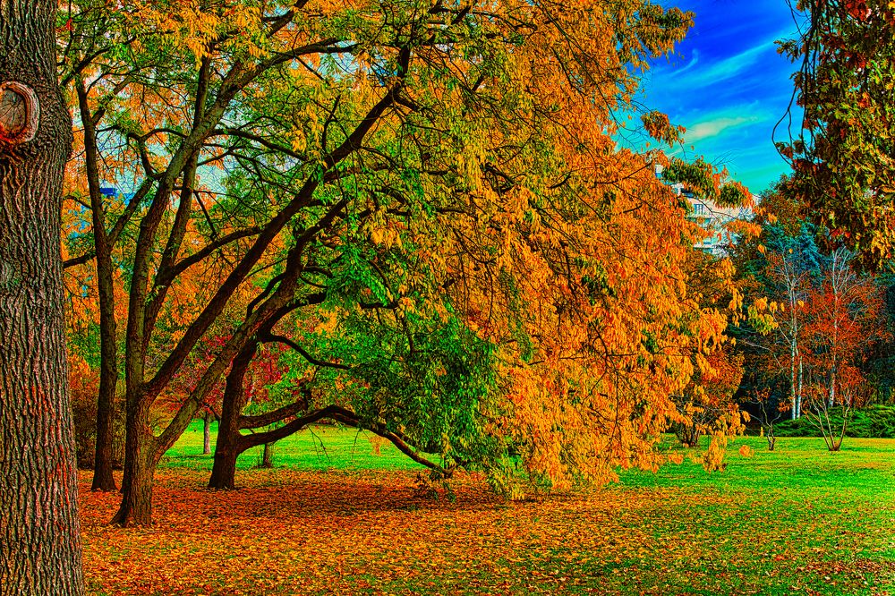 Photograph by Valentin Kayudin