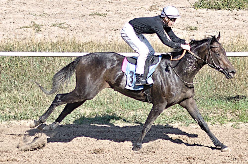 Photograph by Виктор Репников