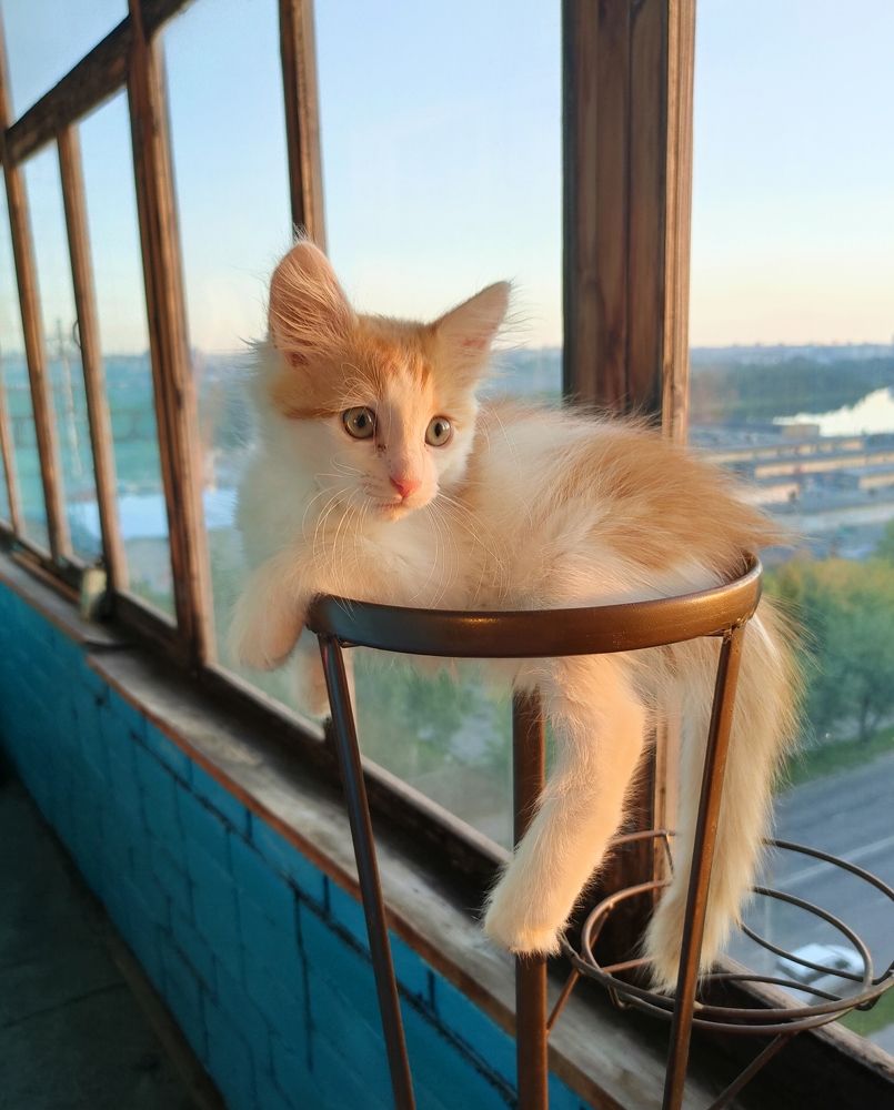 Фотография автора Светлана Смирнова