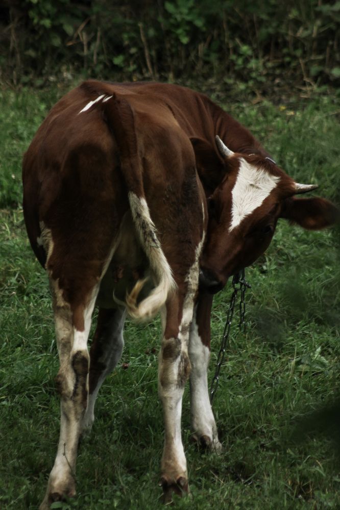 Photograph by Анастасия Псарёва