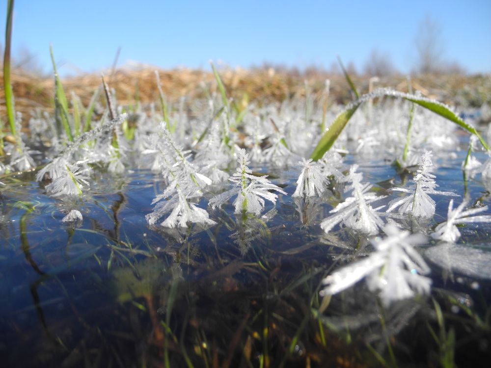 Photograph by Андрей Головин