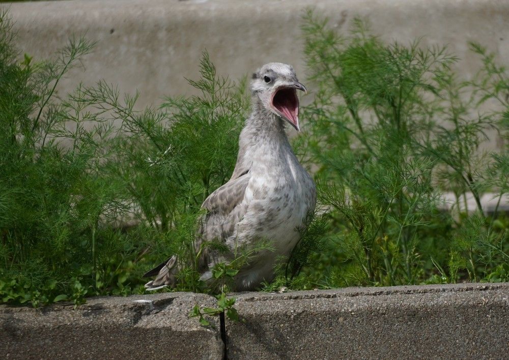 Photograph by Алфия Бугакова