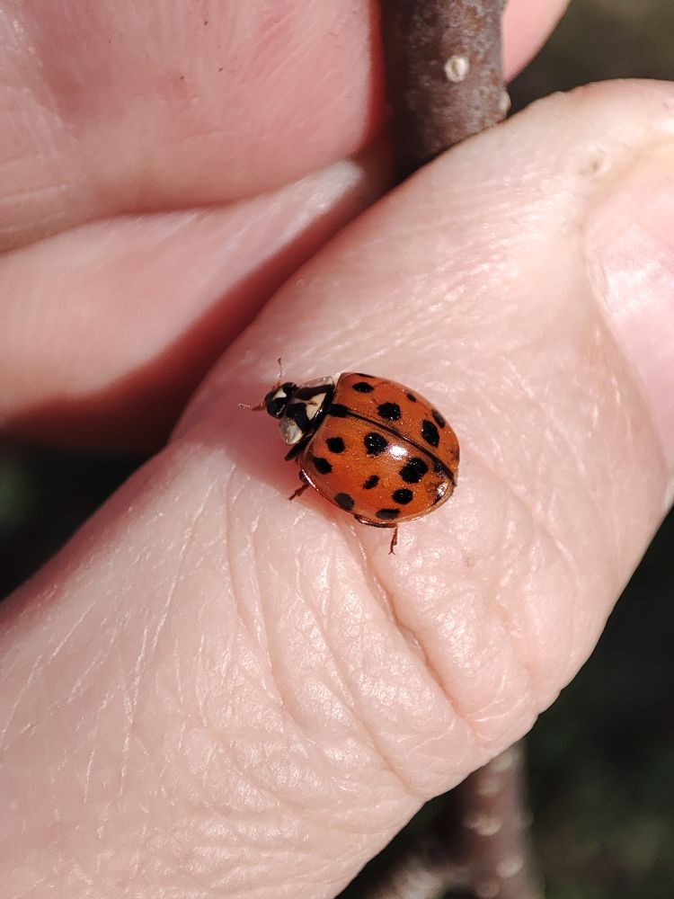 Photograph by Лолита Богачева