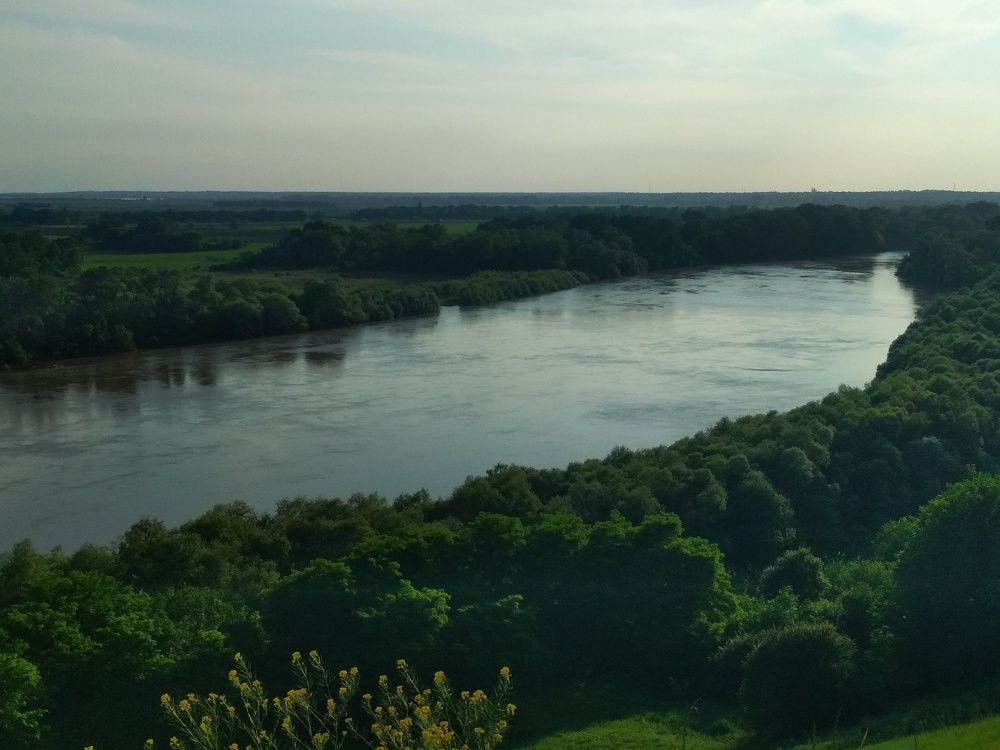 Photograph by Дарья Зотова