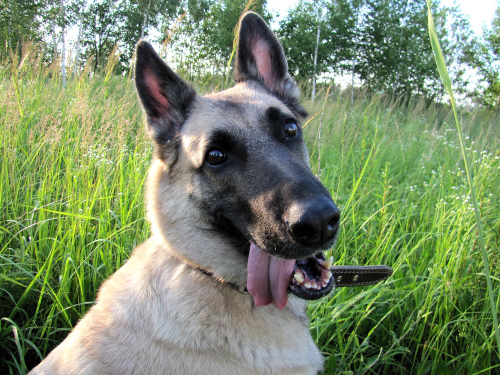 Photograph by Наталья