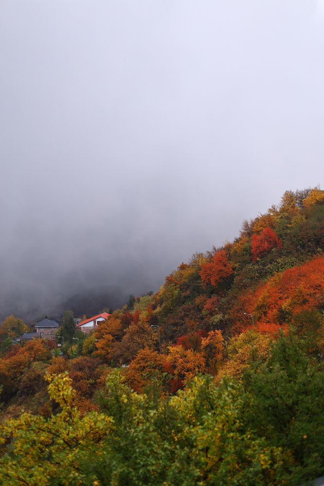 Photograph by Наталья Малышева