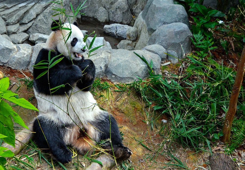 Photograph by Леонид Дрюченко