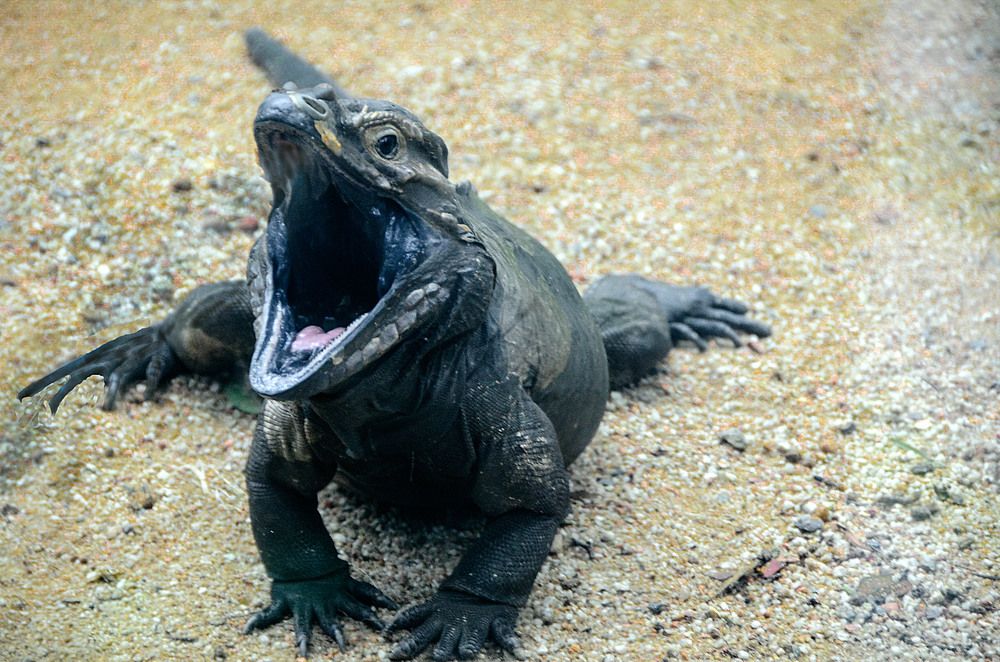 Photograph by Леонид Дрюченко