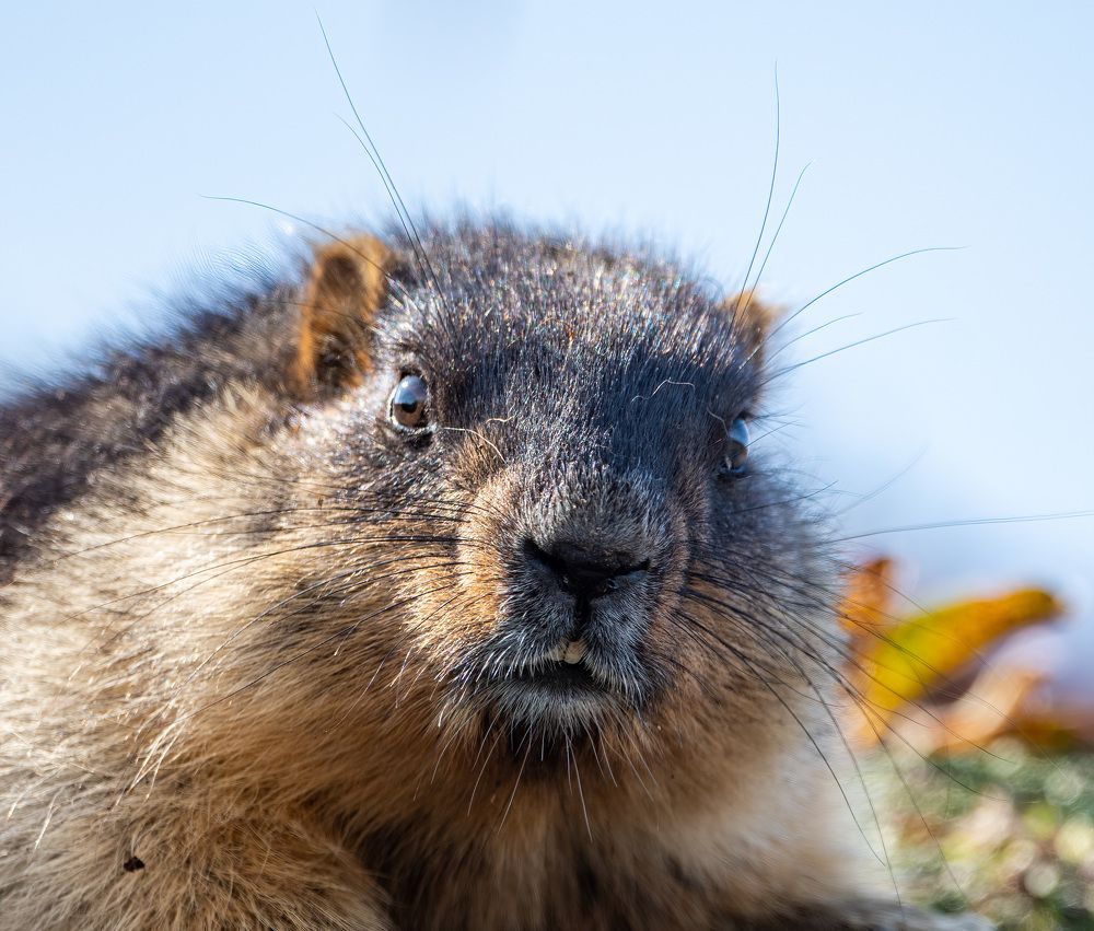 Photograph by Бушков Евгений