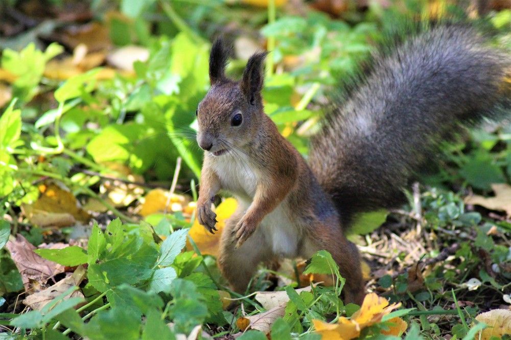 Photograph by Валентина