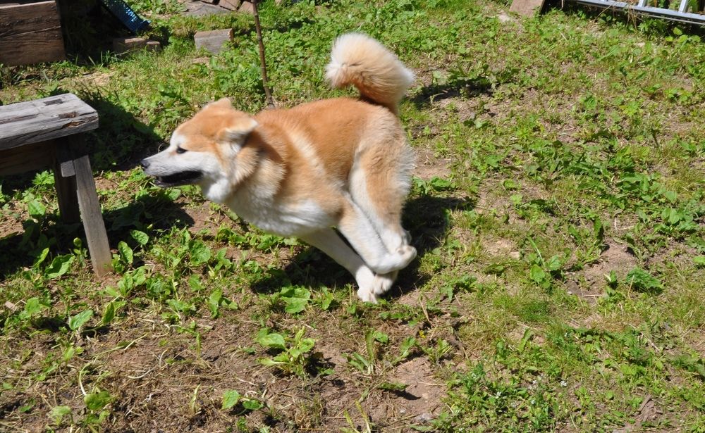 Photograph by Наталья Корнеева