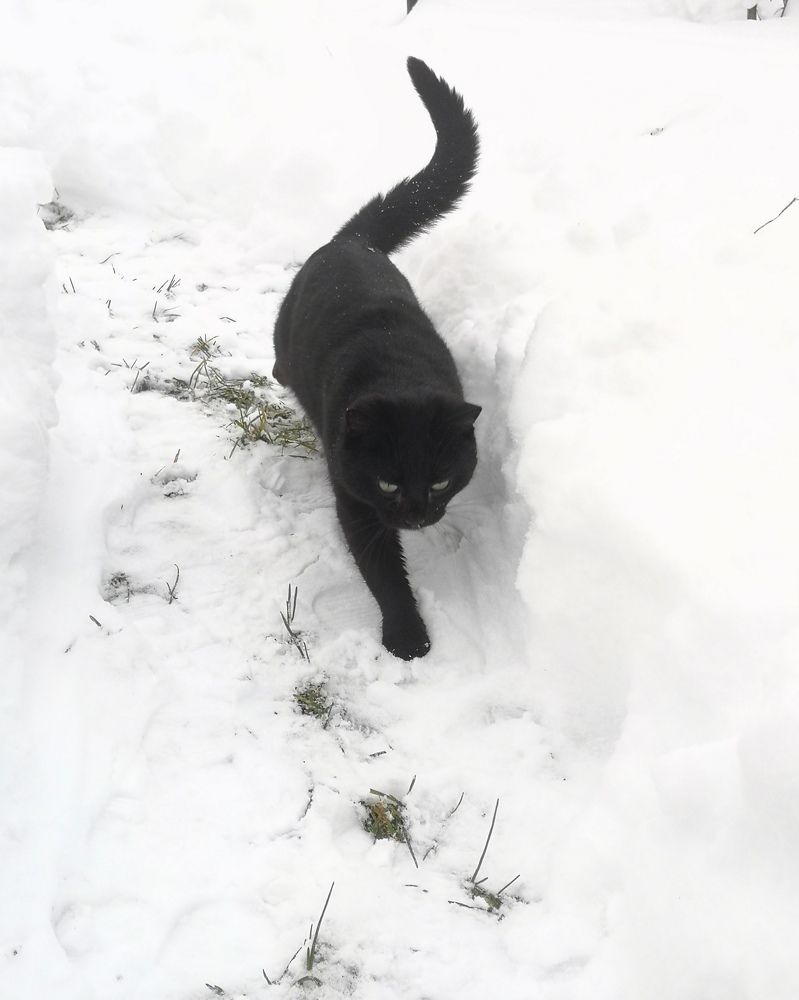 Photograph by Екатерина Борисовна Кузьмина