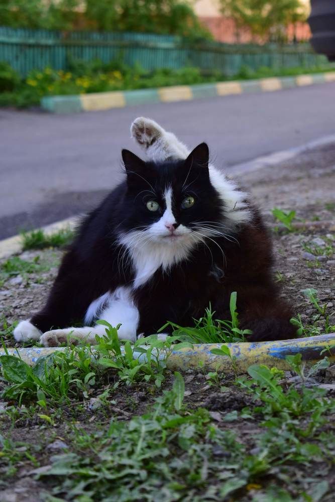 Photograph by Анна Федотова