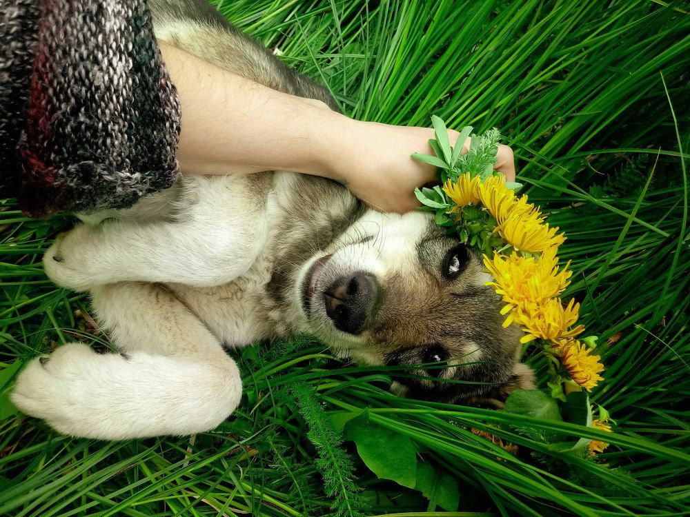 Photograph by Анна Федотова