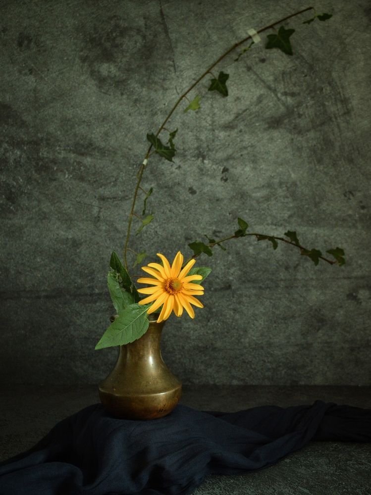 Photograph by Дина Полухина