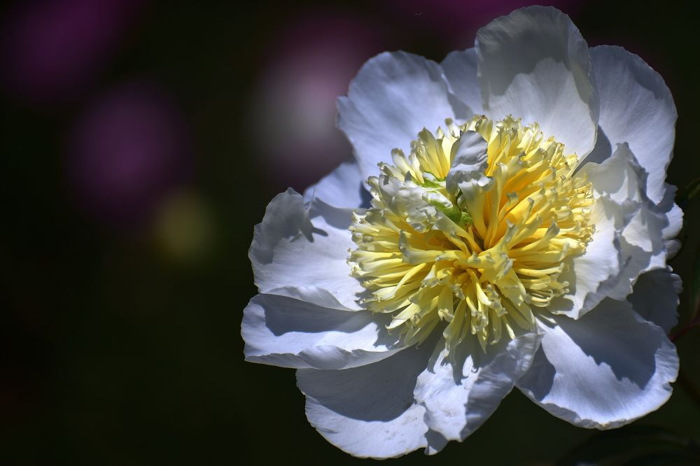 Photograph by Корнейчук Игорь