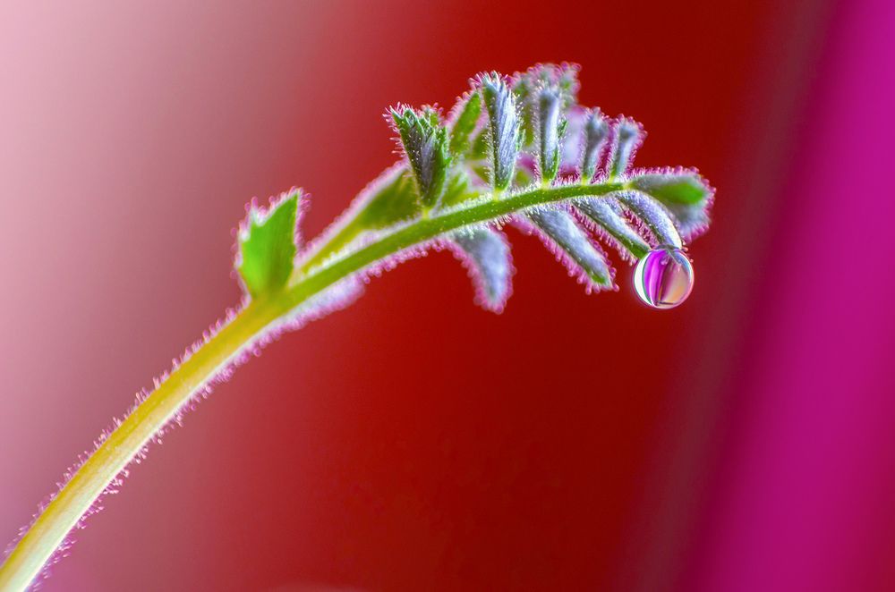 Photograph by Sahar Jafari