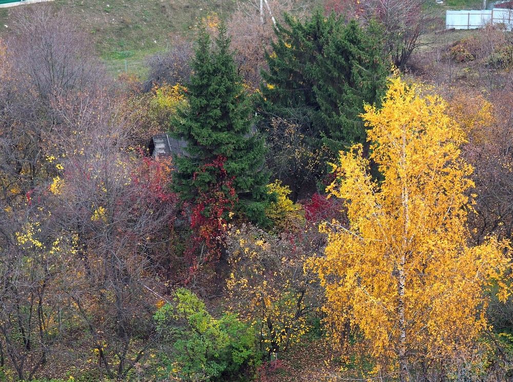 Осень на даче