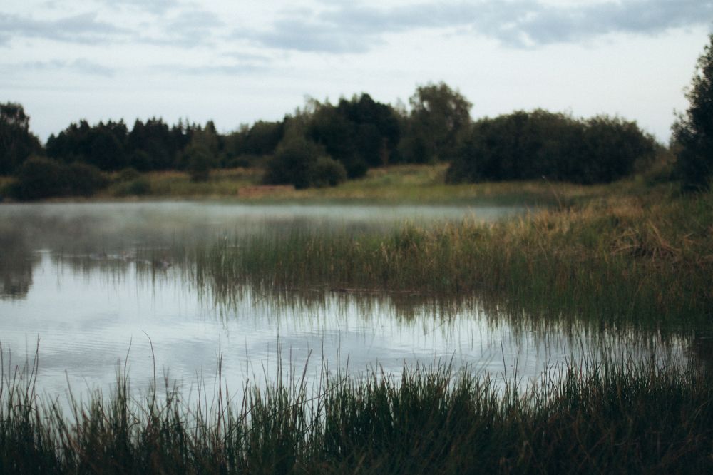 Photograph by Любовь Морозова